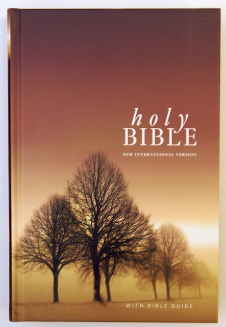 NIV Bible